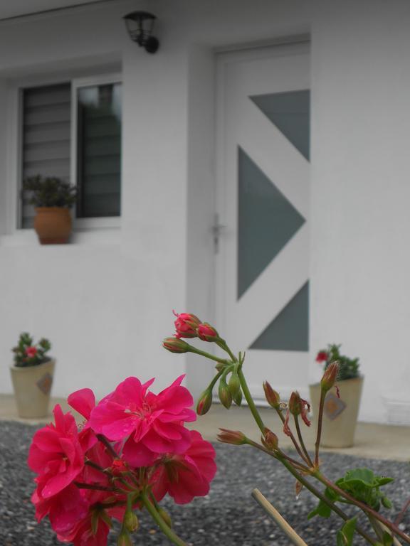 Appartement Abadie Bagnères-de-Bigorre Exterior foto